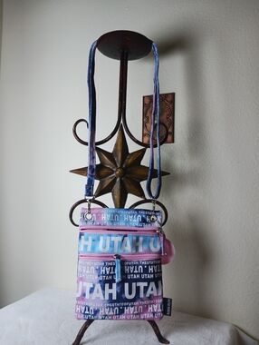 Robin Ruth Utah Pattern Crossbody Bag - Pink & Blue